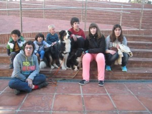 Zooterapia