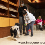 Talleres de musicoterapia y zooterapia