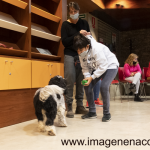 Tallers de musicoteràpia i zooteràpia