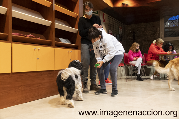 Talleres de musicoterapia y zooterapia