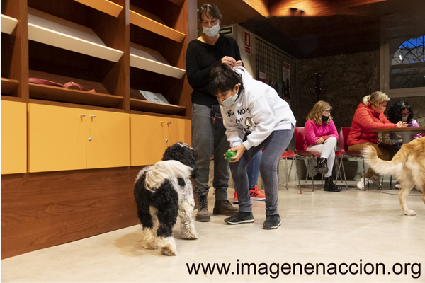 Tallers de musicoteràpia i zooteràpia