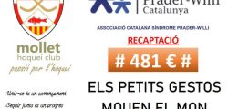 MolletHoqueiClubDonatiu